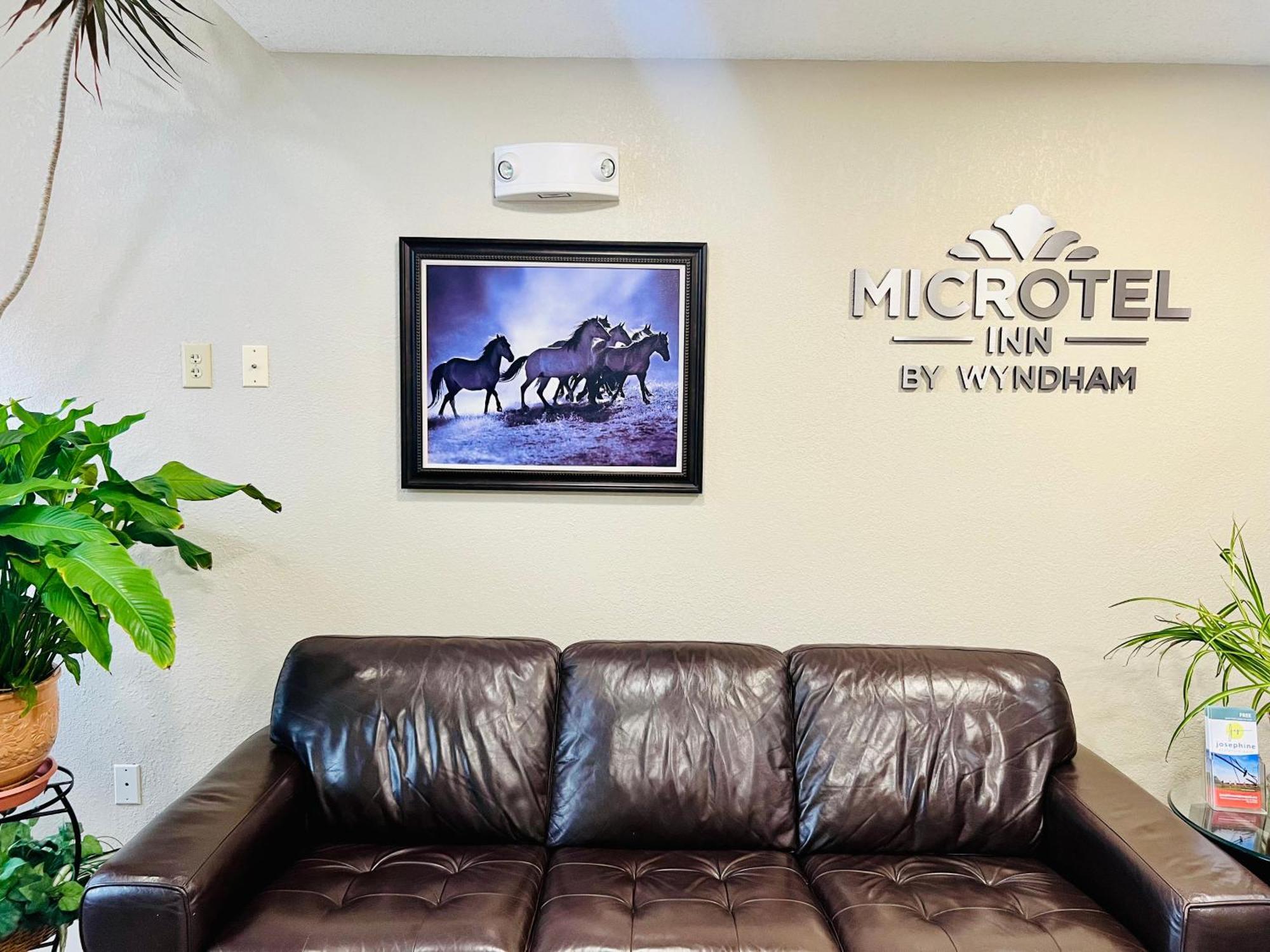 Microtel Inn Georgetown - Lexington North Dış mekan fotoğraf